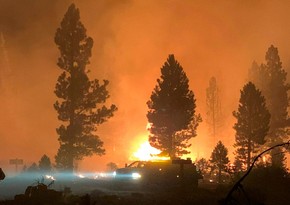 Площадь природных пожаров на западе США превысила 500 тысяч га