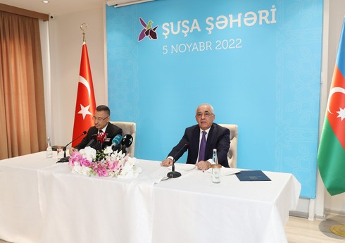 Али Асадов: В рамках межправкомиссии Азербайджан-Турция большинство вопросов решены