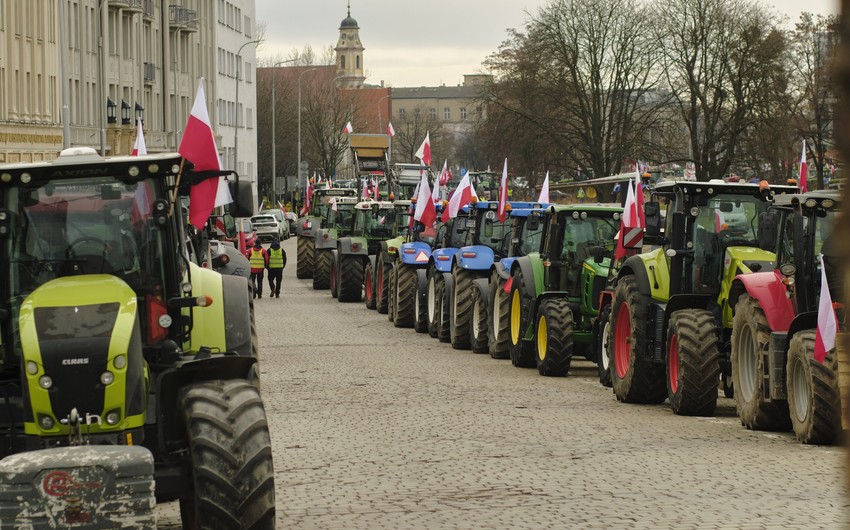 Польские фермеры начнут сбор подписей для отставки правительства
