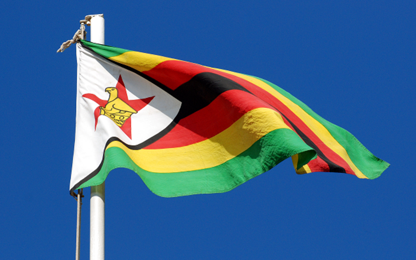 ​Зимбабве попросилась в зону свободной торговли ЕАЭС