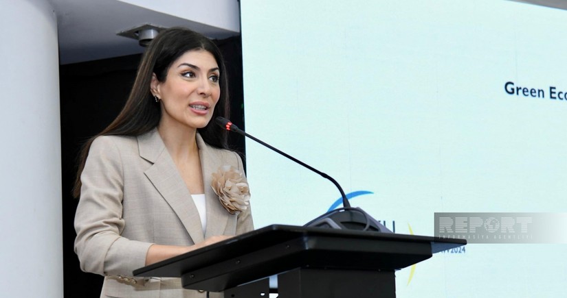 Nigar Arpadarai: Global flow of green capital should be ensured