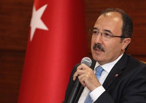 Посол Турции осудил поджог азербайджанского флага и пытки азербайджанского солдата