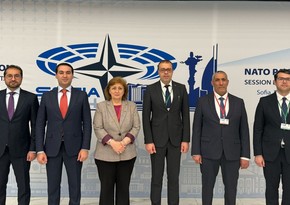 Обнародованы темы обсуждений на весенней сессии ПА НАТО