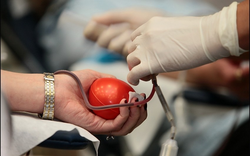 Обнародовано число доноров, сдавших кровь в Центральный банк крови