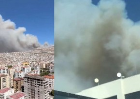 Smoke engulfs Izmir as wildfire rages