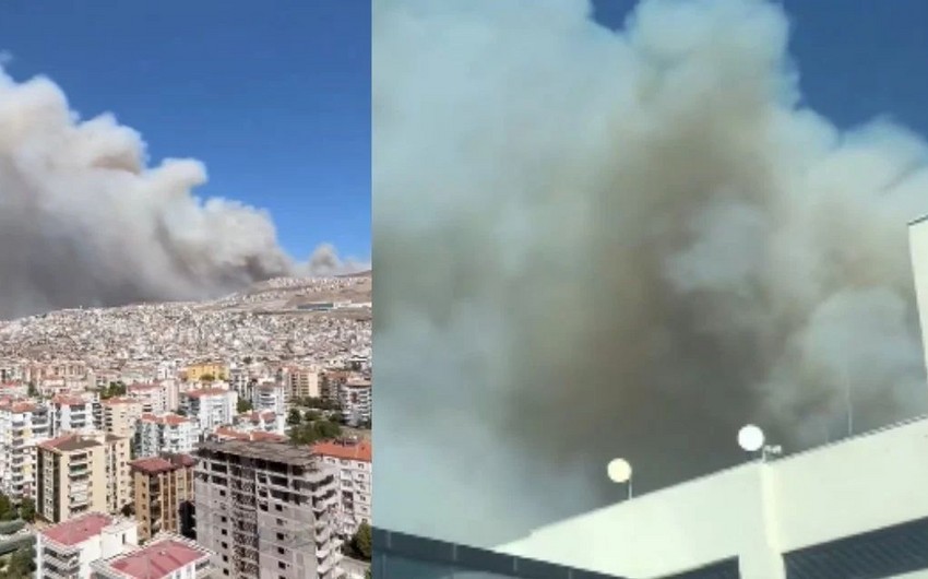 Smoke engulfs Izmir as wildfire rages