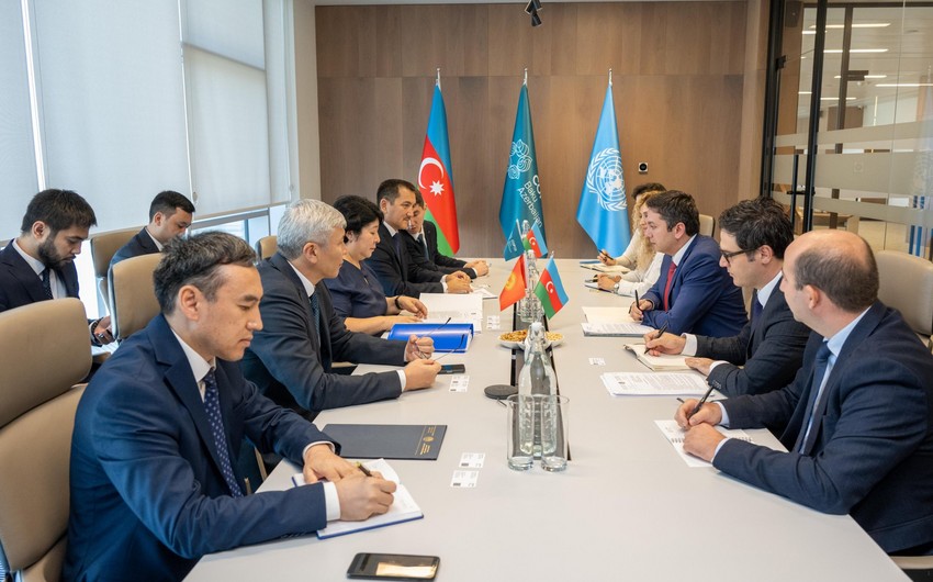 COP29-un baş danışıqçısı Qırğızıstanın nümayəndə heyəti ilə iqlim dəyişikliyinin təsirlərini müzakirə edib