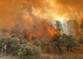 Forest fire in Canakkale, Türkiye is under control, says minister