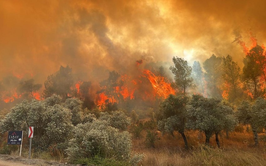 Forest fire in Canakkale, Türkiye is under control, says minister