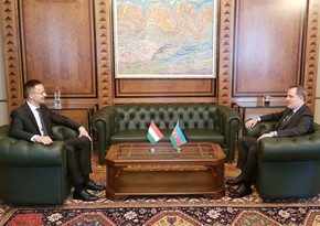 Azerbaijani, Hungarian FMs meet in Baku