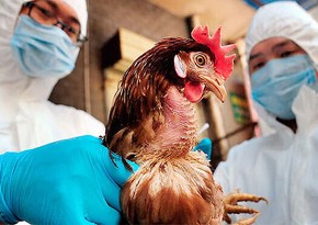 China reports H5N8 influenza outbreak among wild birds
