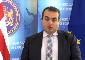 МИД: Азербайджан и Грузия имеют твердую позицию относительно границ