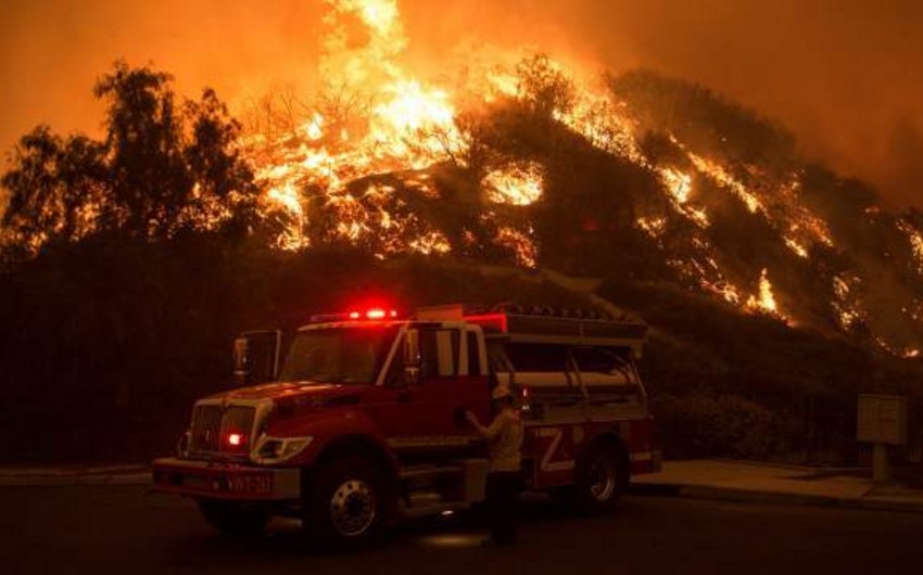 Жертвами лесных пожаров в Калифорнии стали 23 человек