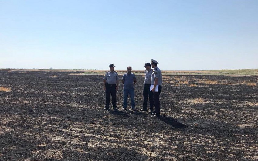 В Гёйчае задержан подозреваемый в умышленном поджоге пшеничного поля