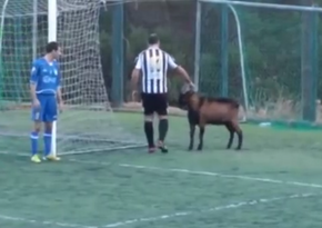 Football match suspended twice due to goat entering arena