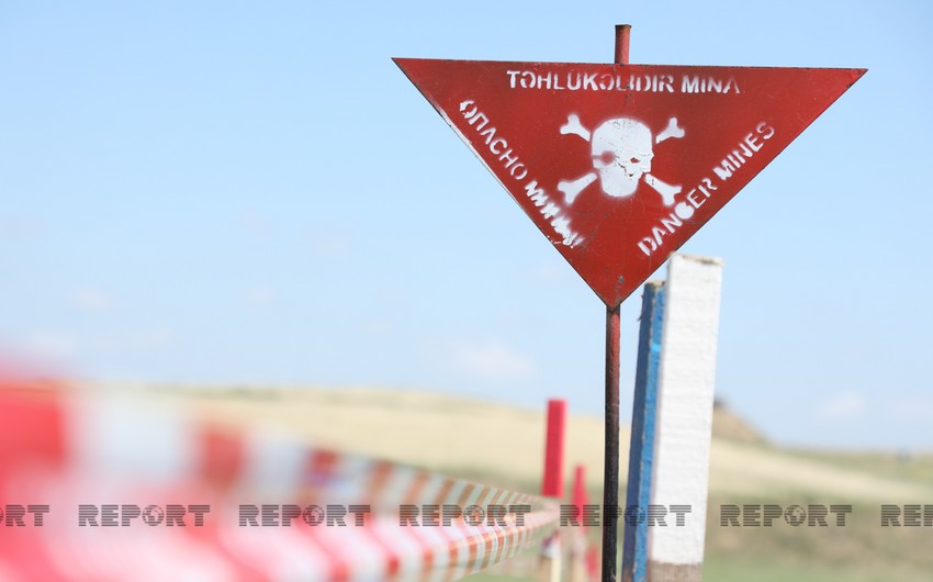 Deputat: Beynəlxalq təşkilatlar Ermənistanın mina terroruna biganə qalmamalıdır