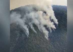 МЧС: Меры по локализации пожара в Загатале продолжаются