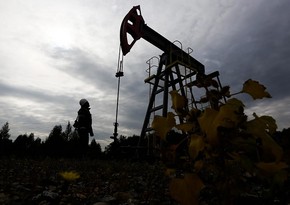 ОПЕК: Нефть останется главным топливом в мировом энергобалансе