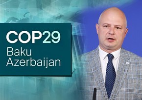 Литовский министр: NCQG должна быть реалистичной и направлена на смягчение последствий в каждой стране