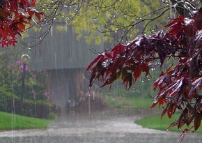 Lənkəran-Astara zonasında leysan xarakterli güclü yağış yağıb
