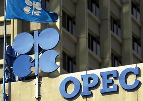 OPEC's Vienna summit unlikely to change output policy