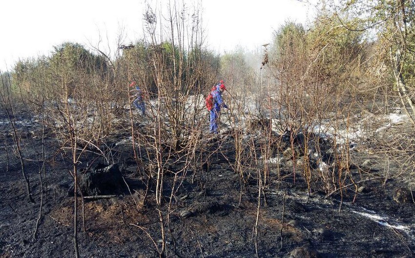 МЭПР: Пожар в Огузском лесу полностью потушен