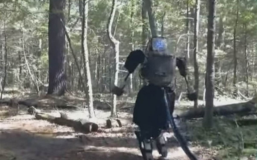 Boston Dynamics протестировали человекоподобных роботов на способность бегать по лесу - ВИДЕО
