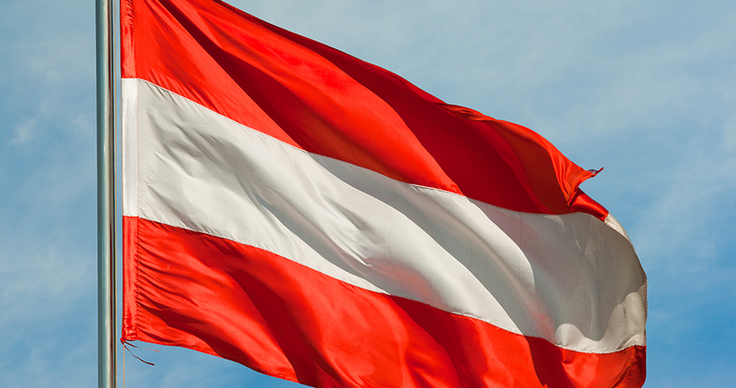Правящая коалиция Австрии может распасться в июне