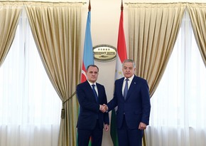 Главы МИД Азербайджана и Таджикистана обсудили в Минске все аспекты сотрудничества 