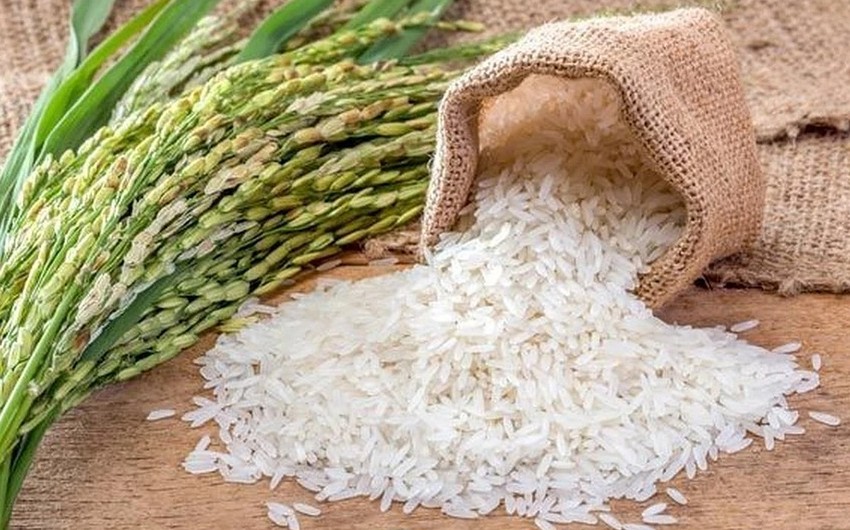 Russia bans rice exports until December 31, 2023