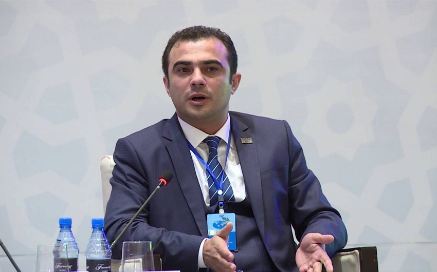 Head of UDAU: Azerbaijani Diaspora is united in condemnation of Armenian provocations