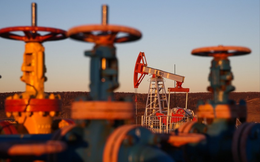 Глава конференции ОПЕК не исключил резкого падения цен на нефть 