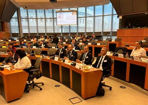 Azerbaijan criticizes report presented at EuroNest PA Energy Security Committee