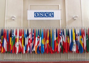 Польша приняла председательство в ОБСЕ