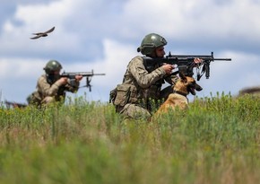 Türkiyə Ordusu PKK-nın doqquz terrorçusunu öldürüb