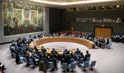 Slovenia to highlight Mideast developments during UN Security Council term presidency