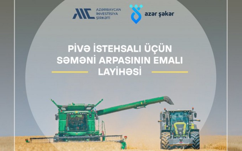 Azərbaycan İnvestisiya Şirkəti səməni arpasının emalına yatırım imkanlarını araşdırır