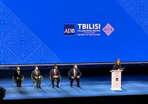 В Тбилиси началось заседание Совета управляющих АБР