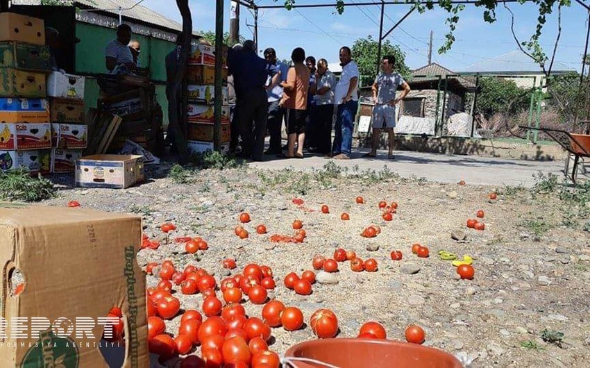 В Грузии не сумевшие продать выращенный урожай азербайджанцы провели акцию протеста - ФОТО