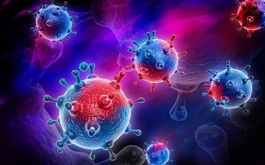 Koronavirus pandemiyasının pik nöqtəsinin tarixi müəyyənləşdi