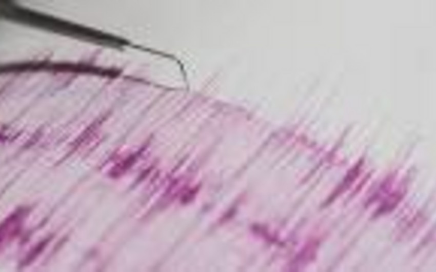 Глубинное землетрясение магнитудой 5,0 произошло у берегов Сахалина