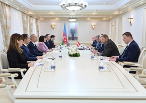 Azerbaijani parliament’s speaker, head of Austria-South Caucasus friendship group mull intensification of parliamentary relations