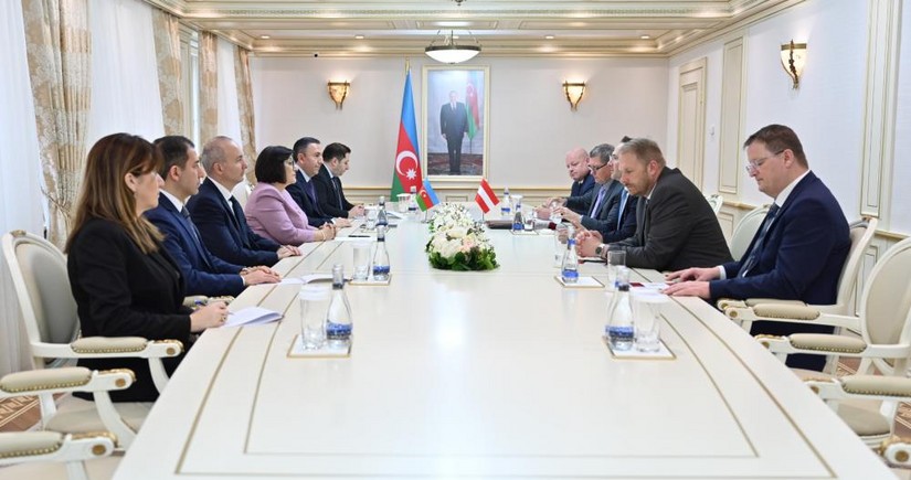 Azerbaijani parliament’s speaker, head of Austria-South Caucasus friendship group mull intensification of parliamentary relations