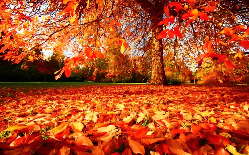 Weather forecast for November in Azerbaijan announced