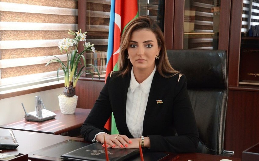 Azerbaijani MP: For West, Pashinyan is leader of military junta