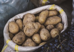Belarus imported potatoes from Azerbaijan for first time