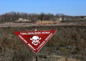 Another 29 mines found in liberated territories of Azerbaijan