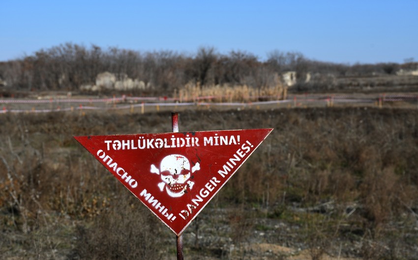 Over 500 mines found in Azerbaijan's liberated territories last month