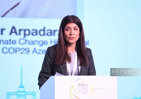 Nigar Arpadarai: İqlim problemlərinin fəsadları ilə mübarizədə elmin gücündən istifadə etmək lazımdır