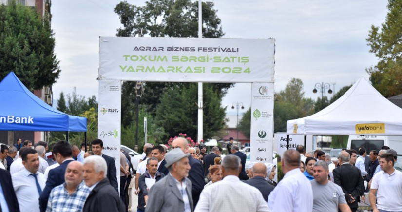 Masallı və Neftçalada növbəti toxum sərgi-satış yarmarkaları keçirilib